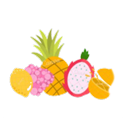 Buah dan Tanaman